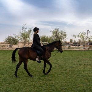 Sunset Horse Riding at Al Marmoom Oasis with a 6-Course Bedouin Dinner Outdoor Attractions