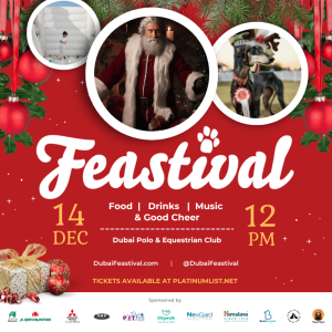 Dog-friendly Family Festival Christmas Events